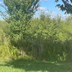 Meet your Posher, Isabella